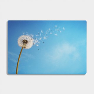 Miếng Dán SKin Laptop Theo Yêu Cầu / Có mẫu decal dán cho tất cả các hãng máy tính