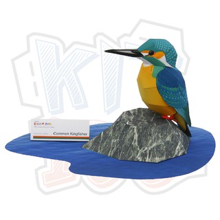 Mô hình giấy động vật chim Bồng Canh Common Kingfisher