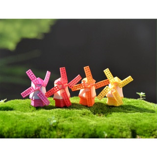 Tiểu cảnh - Nhà Cối Xay, Làm Tiểu Cảnh, Terrarium, decord mô hình