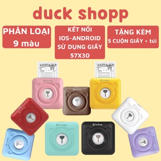 Máy in nhiệt mini dễ thương hình con gấu chính hãng peripage