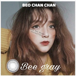 Lens Vassen chính hãng Hàn Quốc và phụ kiện đi kèm_Bee Gray