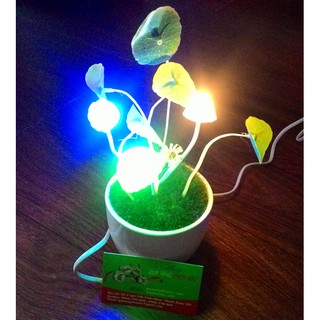 [ XẢ KHO 3 NGÀY] Đèn Nấm Cảm Ứng Avata, đèn ngủ cảm ứng, đèn ngủ cắm tường, đèn ngủ cảm ứng ánh sáng, đèn ngủ giá rẻ