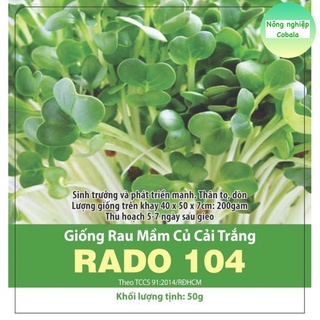Hạt Giống Rau Mầm Củ Cải Trắng Thu Hoạch Sau 5 Ngày Gói 50gr