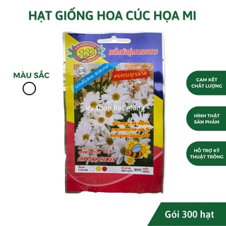 Hạt giống hoa cúc hoạ mi trắng Thái Lan