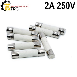 Cầu chì 2A 250V 6x30mm