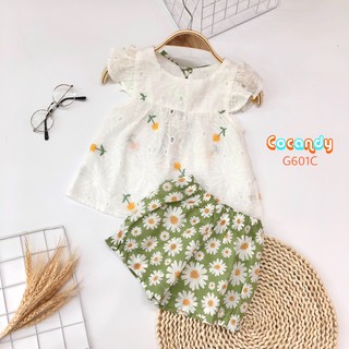 BỘ CÁNH TIÊN QUẦN ĐÙI HOA CÚC CHO BÉ