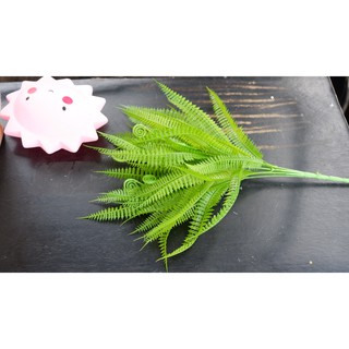 HolyBackdrops - nhánh dương xỉ - đạo cụ chụp ảnh trang trí