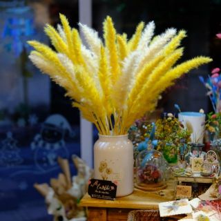 Cỏ lau nhuộm ❤Pampass Grass trang trí để bàn, phòng khách phong cách cổ điển