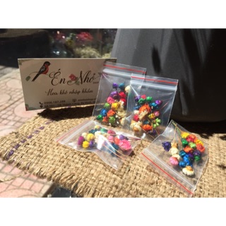 [MUA 5 TẶNG 1] *Hoa khô*Nguyên liệu làm handmade,RESIN_hoa Glixia