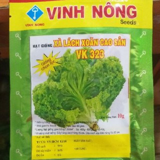 Cải Xà Lách Xoăn - Xà Lách Gai (10gr) Xuất Xứ: Italy