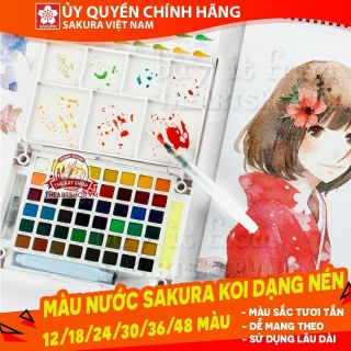 MÀU NƯỚC SAKURA KOI KÈM BÚT NƯỚC
