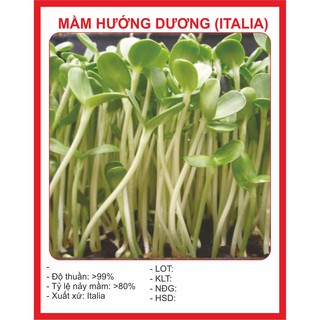 Hạt Giống Mầm Hướng Dương 40Gram