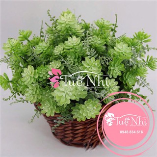 Cụm Sen Đá Nhựa Siêu Đẹp - Cây Gỉa,Lá Gỉa,Cỏ Điểm.