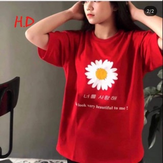 Áo hoa cúc trắng chữ Hàn HDP865