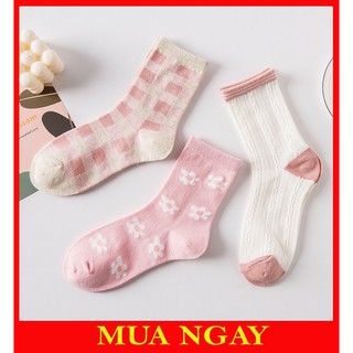 Vớ tất nữ phong cách Hàn Quốc nhẹ nhàng TN98