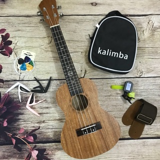 ĐÀN UKULELE CONCERT HOẠ TIẾT