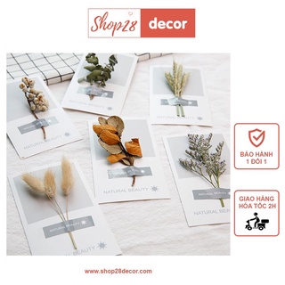 [MUA 4 TẶNG 1] Thiệp hoa khô xinh xắn dùng trang trí chụp ảnh, phụ kiện chụp ảnh - Shop28