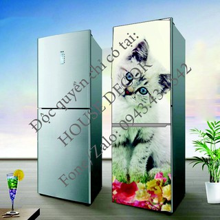 Decal tủ lạnh - Mèo con đáng yêu
