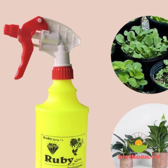 Bình tưới cây phun sương - 1 lít ruby