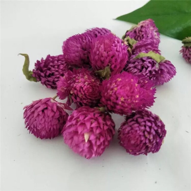 Trà hoa cúc bách nhật 50g