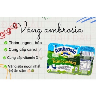 VÁNG SỮA AMBROSIA CHO BÉ ĂN DẶM TỪ 6M - VÁNG SỮA SIÊU NGON CHO BÉ