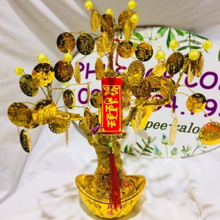 Bonsai chữ Phước mini 20cm