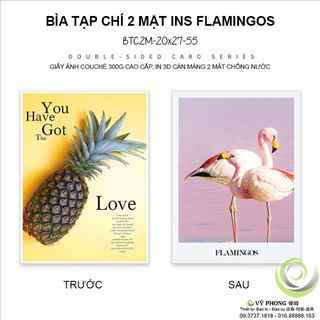 BÌA TẠP CHÍ 2 MẶT 20x27cm CHỤP INS - POSTER CHỤP ẢNH BTC2M20x27-54,55,56,57,58,59