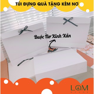 TÚI GIẤY ĐỰNG QUÀ TẶNG PHỐI NƠ XINH XẮN, KIỂU DÁNG HỘP HIỆN ĐẠI
