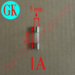 [10 cái] Cầu chì 1A dạng ống 5x20 thủy tinh