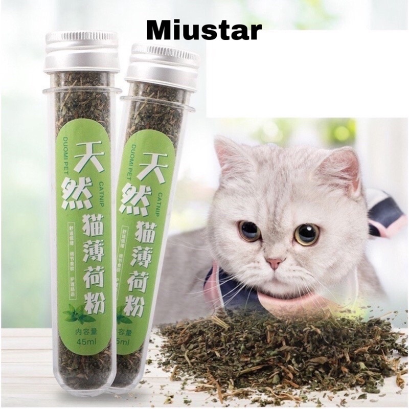 Cỏ bạc hà cho mèo phê pha xả streess (Catnip)