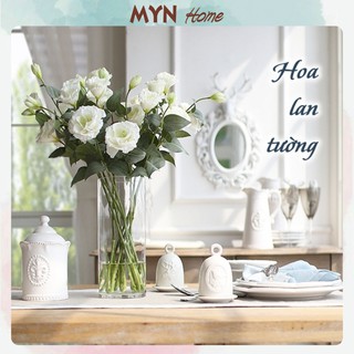 Hoa lan tường, hoa cát tường siêu thật, không bám bụi, cành 1 nụ 3 hoa, dài 70cm