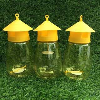 bẫy ruồi vàng kèm tuýp thuốc bẫy