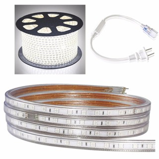 Bộ 10m dây 5050 Trắng + 10m dây 5050 Vàng