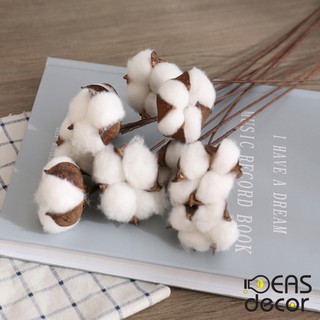 Cành gòn 1 bông - đạo cụ chụp ảnh sản phẩm ins, phụ kiện trang trí nhà cửa - IdeasDecor