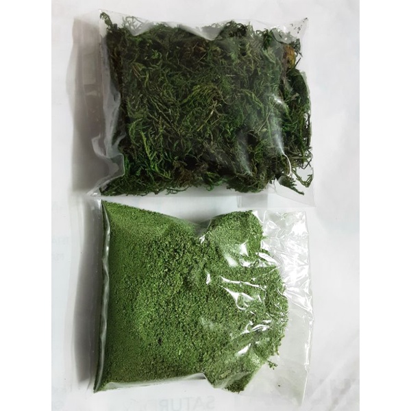 Cỏ bột, cỏ sợi phủ gốc (gói 50g)