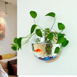 Bể Ốp Tường Mica Đường Kính 23cm Sang Trọng