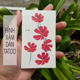 Hình xăm hoa sao nhái đỏ g24. Xăm dán tatoo mini tạm thời, size <10x6cm