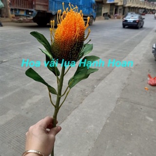 Hoa Banksia ashbyi cao su siêu cao cấp - Hoa giả cao cấp