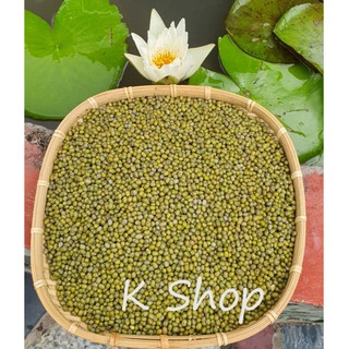 500g Đậu xanh nguyên hạt / Đậu đỏ / Đậu đen / đậu phộng 500g