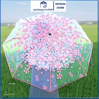 Ô Trong Suốt Họa Tiết Hoa Anh Đào Chụp ảnh Phong Cách Hàn Quốc