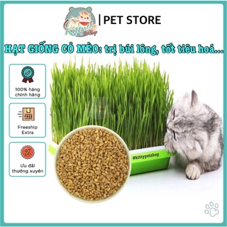 Hạt giống trồng cỏ mèo ngừa búi lông, bổ sung chất xơ...dành cho thú cưng: thỏ, bọ, mèo...Kitty Pet Shop BMT
