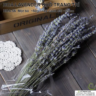 HOA LAVENDER KHÔ TRANG TRÍ HOA-56