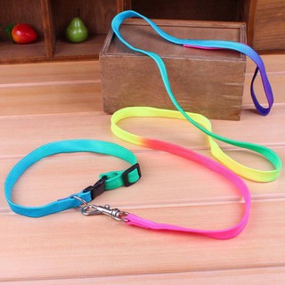 Dây Dắt Kèm Vòng Cổ 7 Sắc Cầu Vồng Cho Chó Mèo, Phụ Kiện Thú Cưng