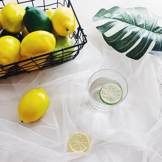 Quả chanh, Lát chanh, Chùm nho giả - Phụ kiện chụp ảnh - Gippy Decor