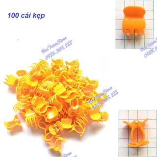 Set 100 cái kẹp bướm  to 2cm màu cam, chất lượng cao dùng để kẹp cành cây, cành hoa lan.