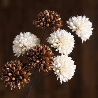 Hoa Gỗ Khô Mộc Lan/Magnolia Ball  Decor Trang trí Hoa Nghệ thuật Phong Cách Vintage
