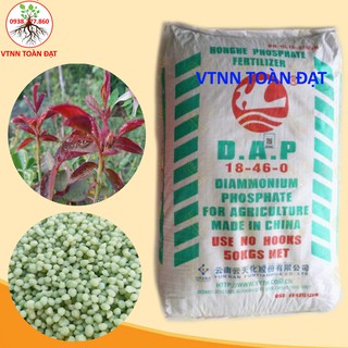 (500gr) Phân Bón DAP 18-46-0, dinh dưỡng thiết yếu đối với quá trình sinh trưởng của cây trồng