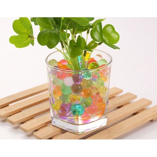 Combo 10 gói hạt tinh thể. Mỗi gói 160 hạt. Dùng để trồng cây, cắm hoa. Mỗi gói trộn đủ màu nha các bạn.
