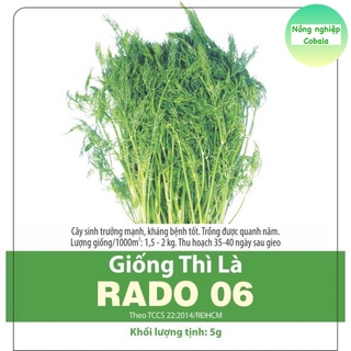 Hạt Giống Thì Là Fernleaf Dễ Trồng, Thu Hoạch Nhanh 5gr