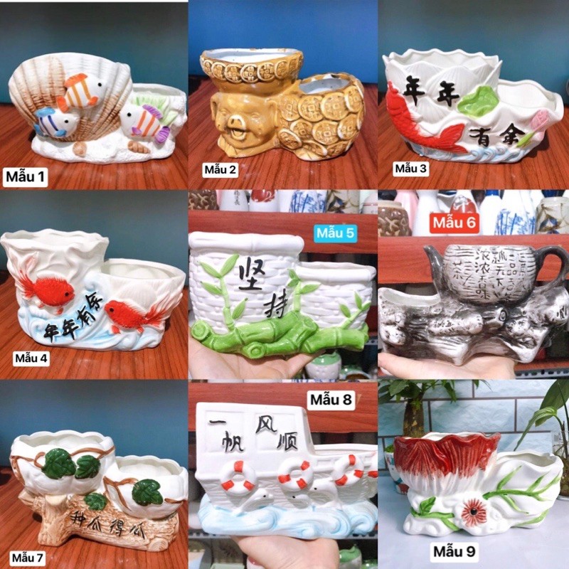 Chậu sứ đôi trồng cây